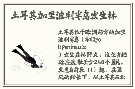 无尺码精品❌❌